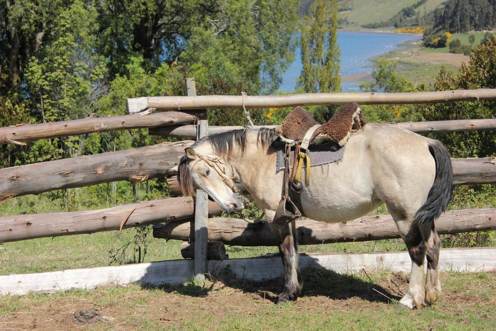 Отель Refugio Pullao Килькико Экстерьер фото